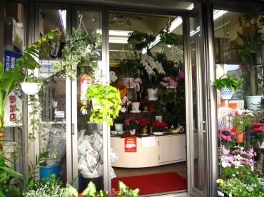 「フラワーハウス・イマージュ」　（沖縄県那覇市）の花屋店舗写真1