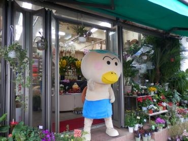半年前の写真　1/31～2/1　花と食のフェスティバル|「フラワーハウス・イマージュ」　（沖縄県那覇市の花屋）のブログ