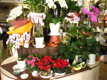 「フラワーハウス・イマージュ」　（沖縄県那覇市）の花屋店舗写真2